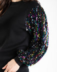 Multi Color Shimmer Sleeve Sweater