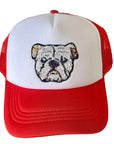 BULLDOG HAT