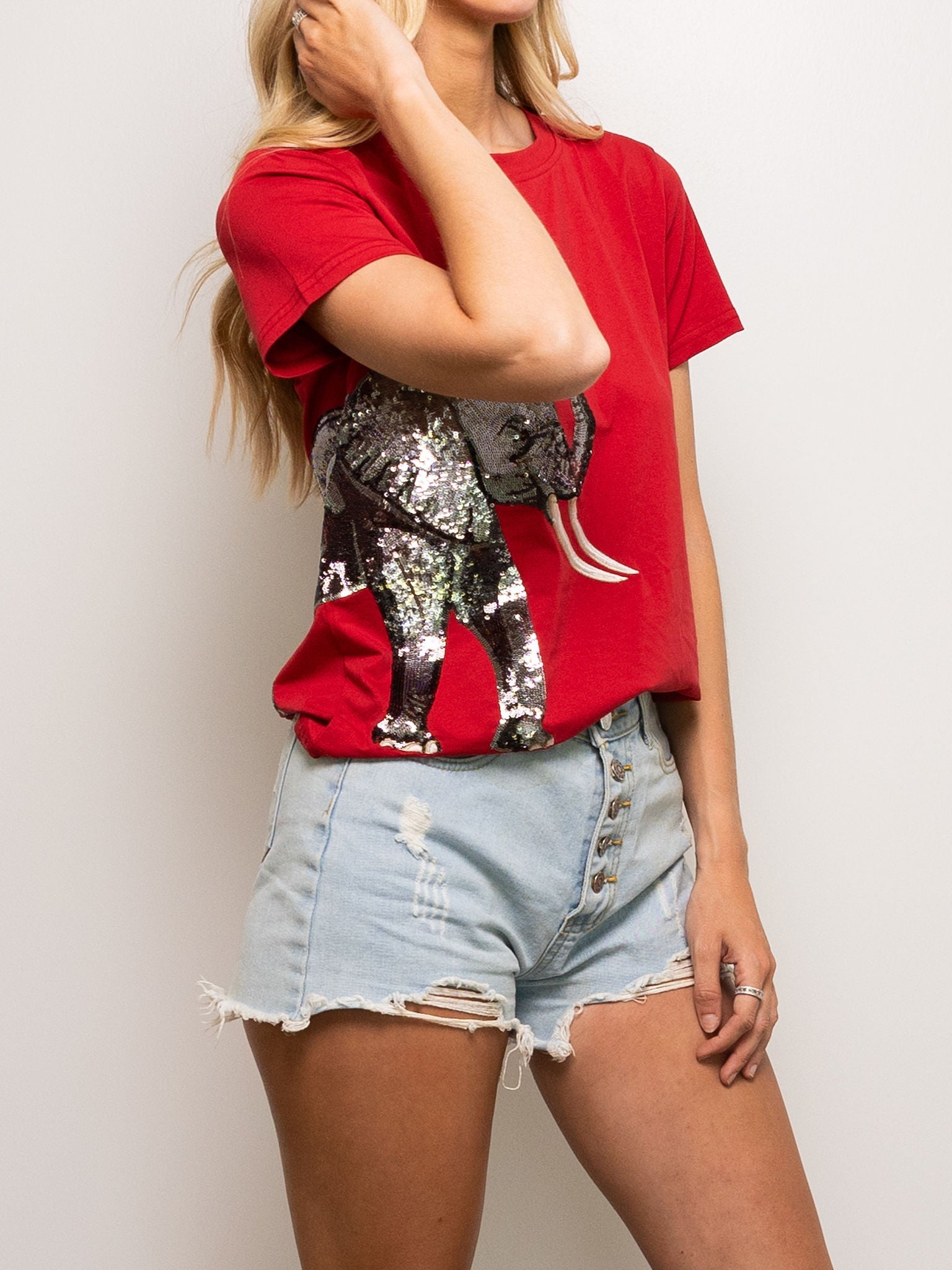 Elephant Wrap - Around tee - Sparkle City Co
