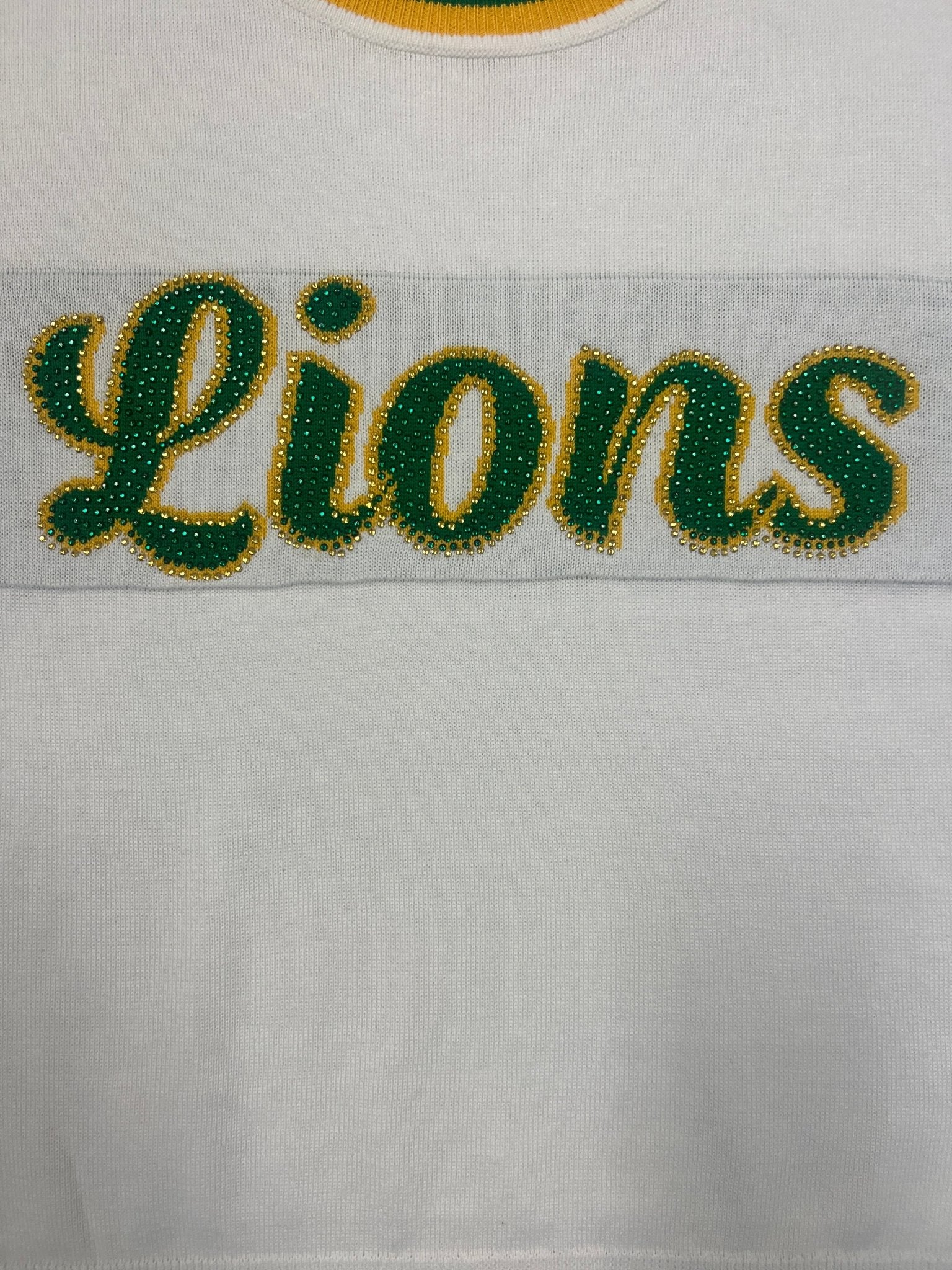 "LIONS" Short Sleeve Sweater - Sparkle City Co