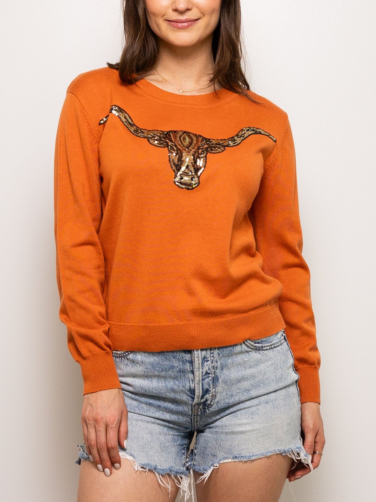 Longhorn Sweater - Sparkle City Co