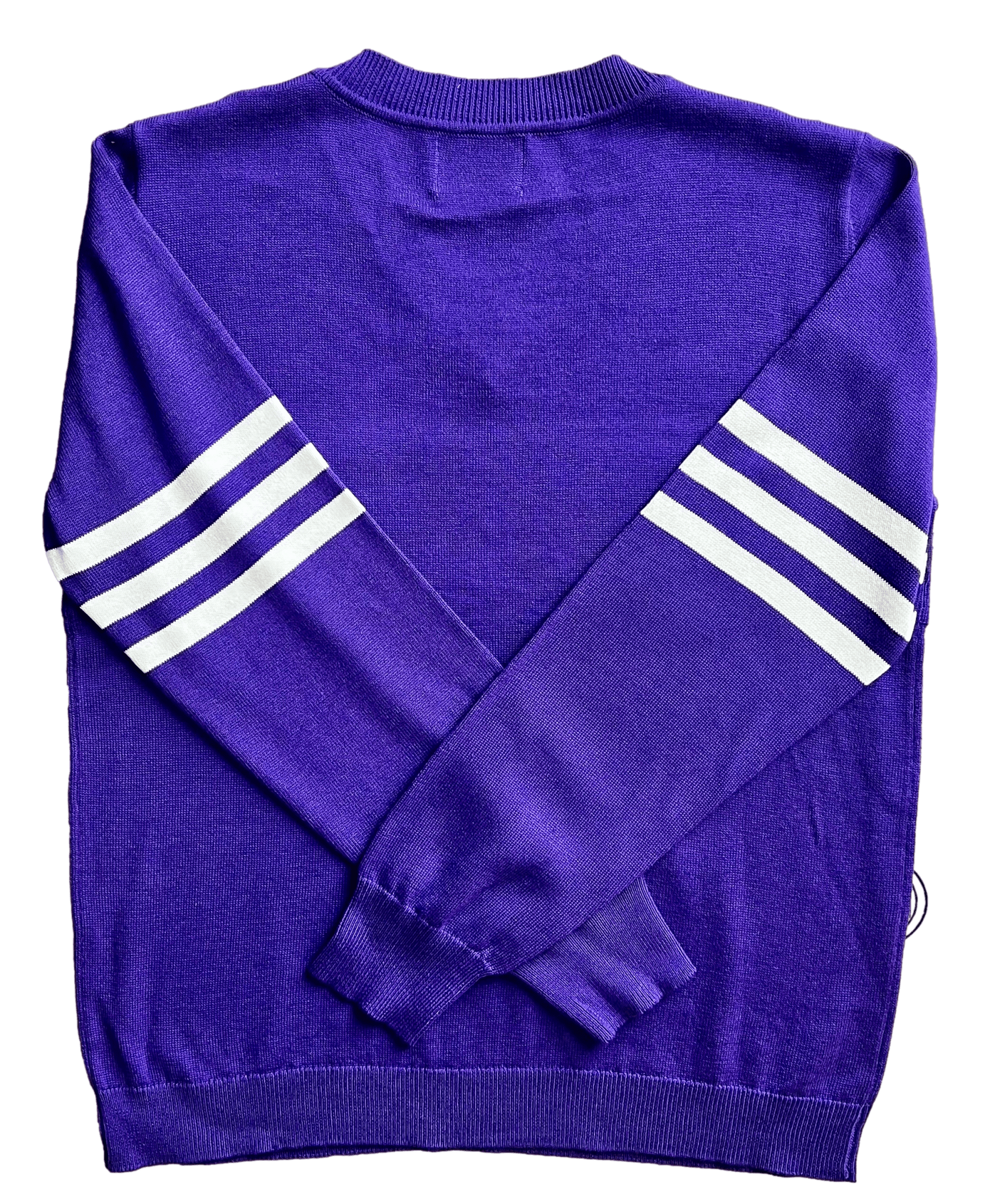 Purple Iris Jersey Sweater - Sparkle City Co