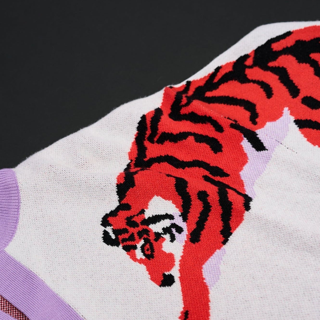 Roaring Tiger Sweater - Sparkle City Co